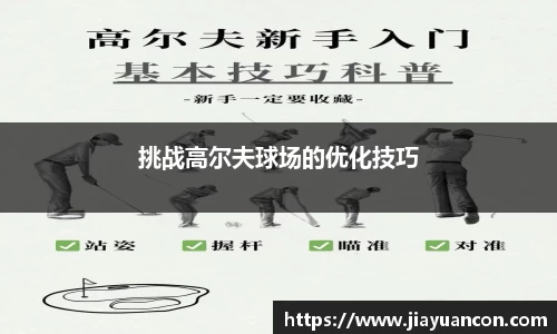 挑战高尔夫球场的优化技巧