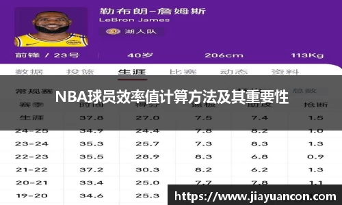 NBA球员效率值计算方法及其重要性